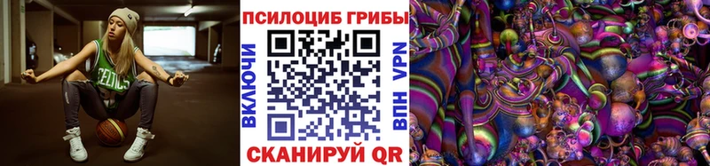 Купить  Далматово  Псилоцибиновые грибы прущие грибы 